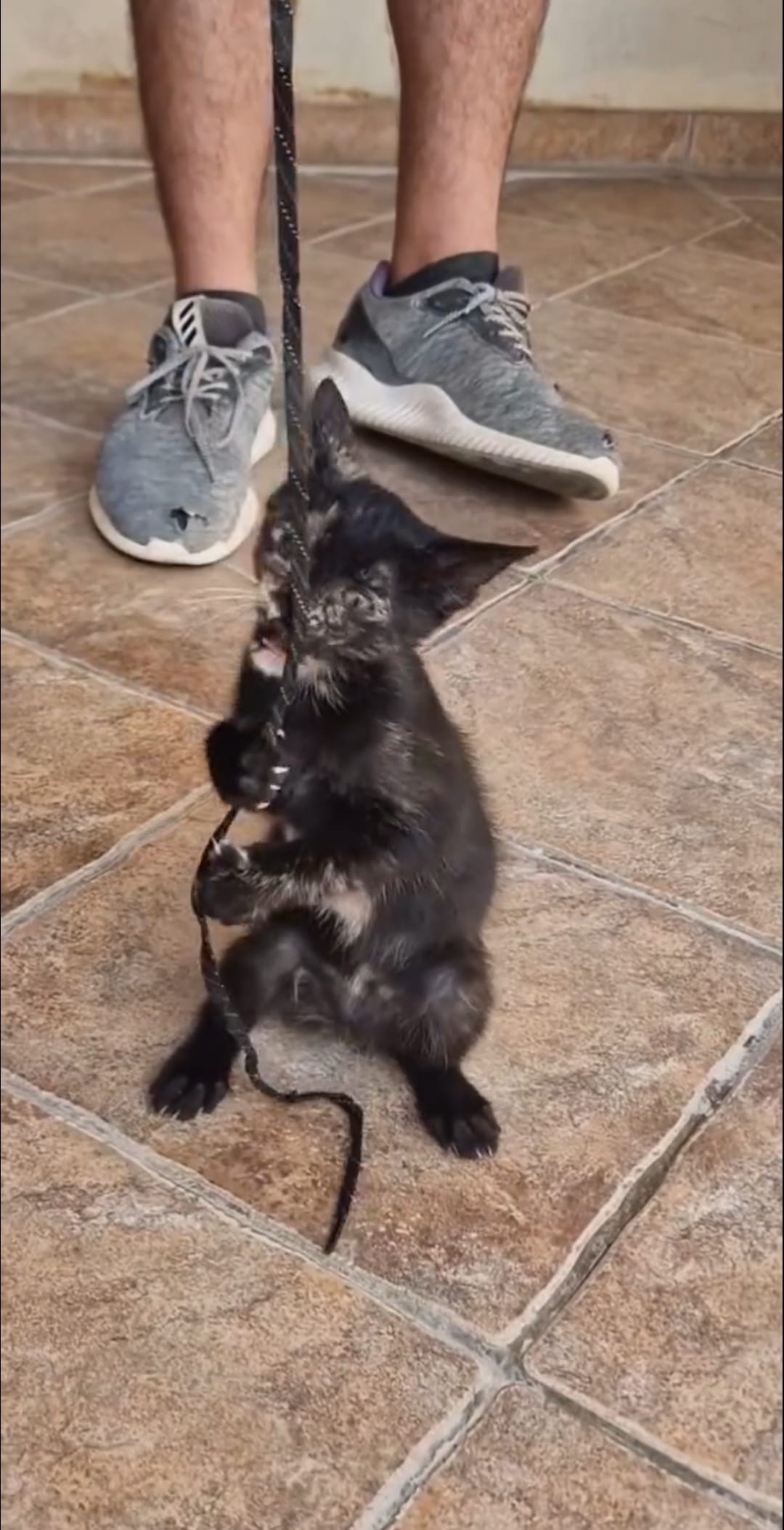 Screenshot_20230913_030716_Facebook