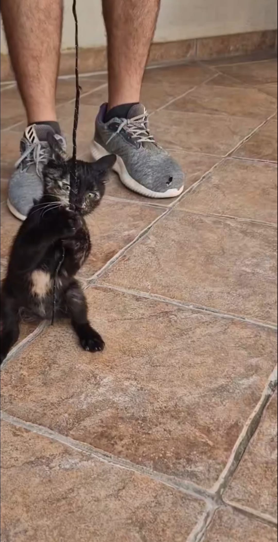 Screenshot_20230913_030723_Facebook