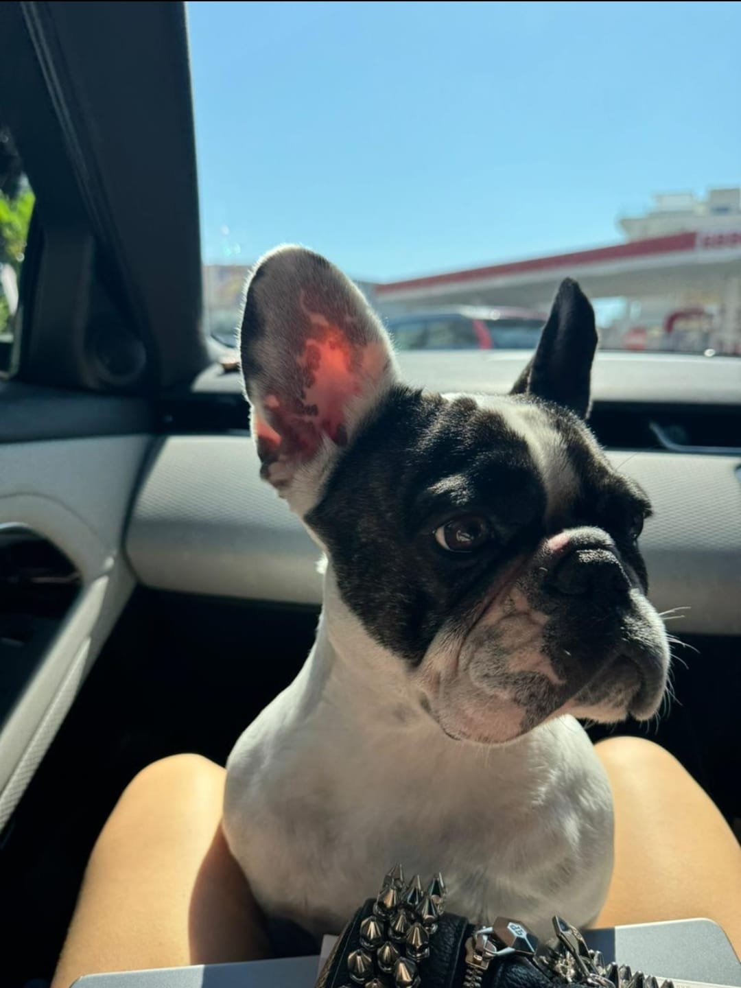 Screenshot_20231121_203534_WhatsAppBusiness