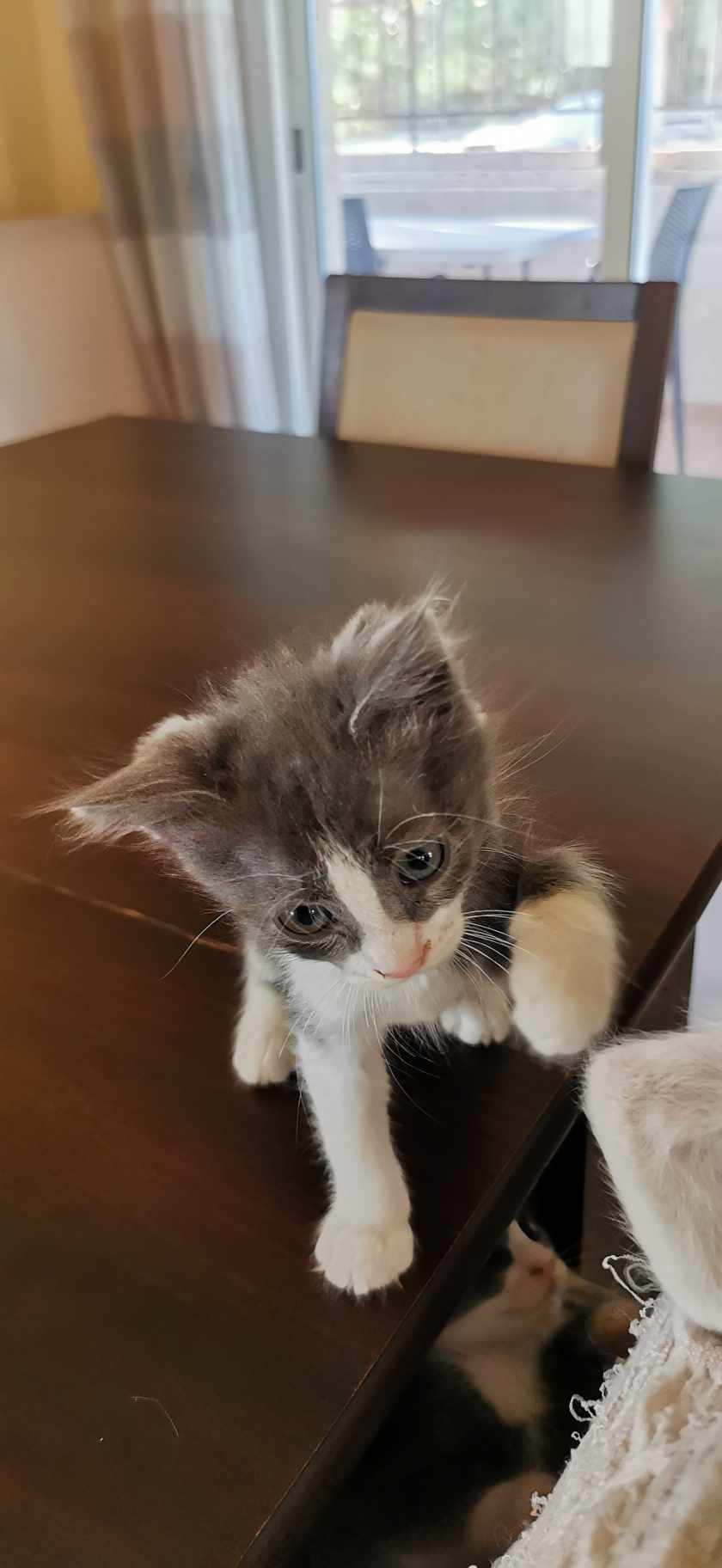 received_1019824949249199