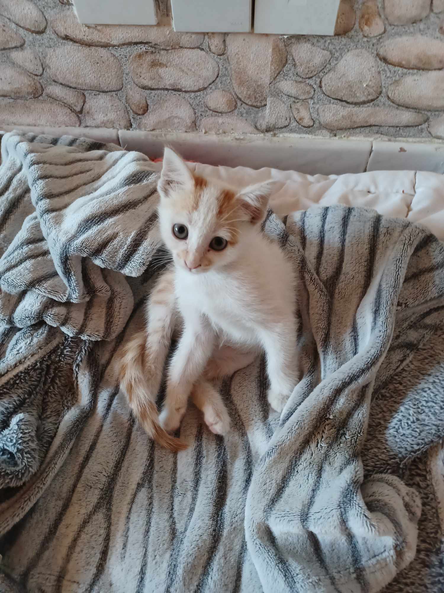 received_323569953648072