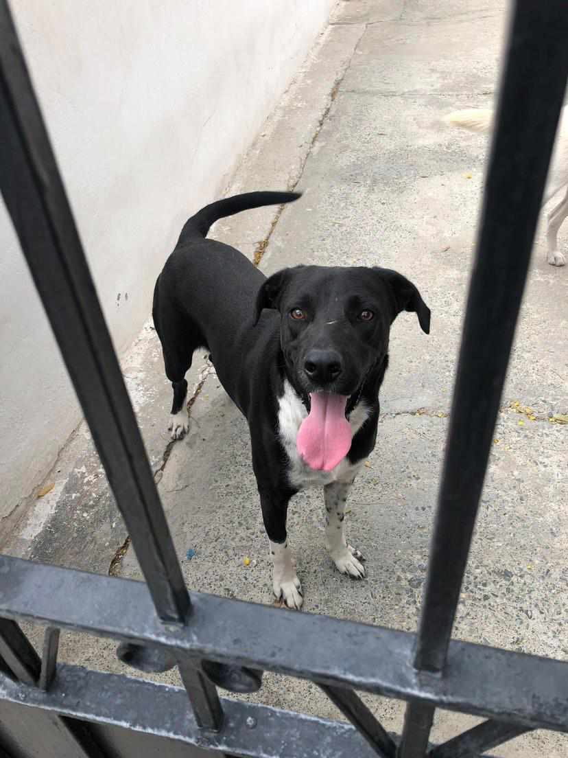 received_3460405027508908