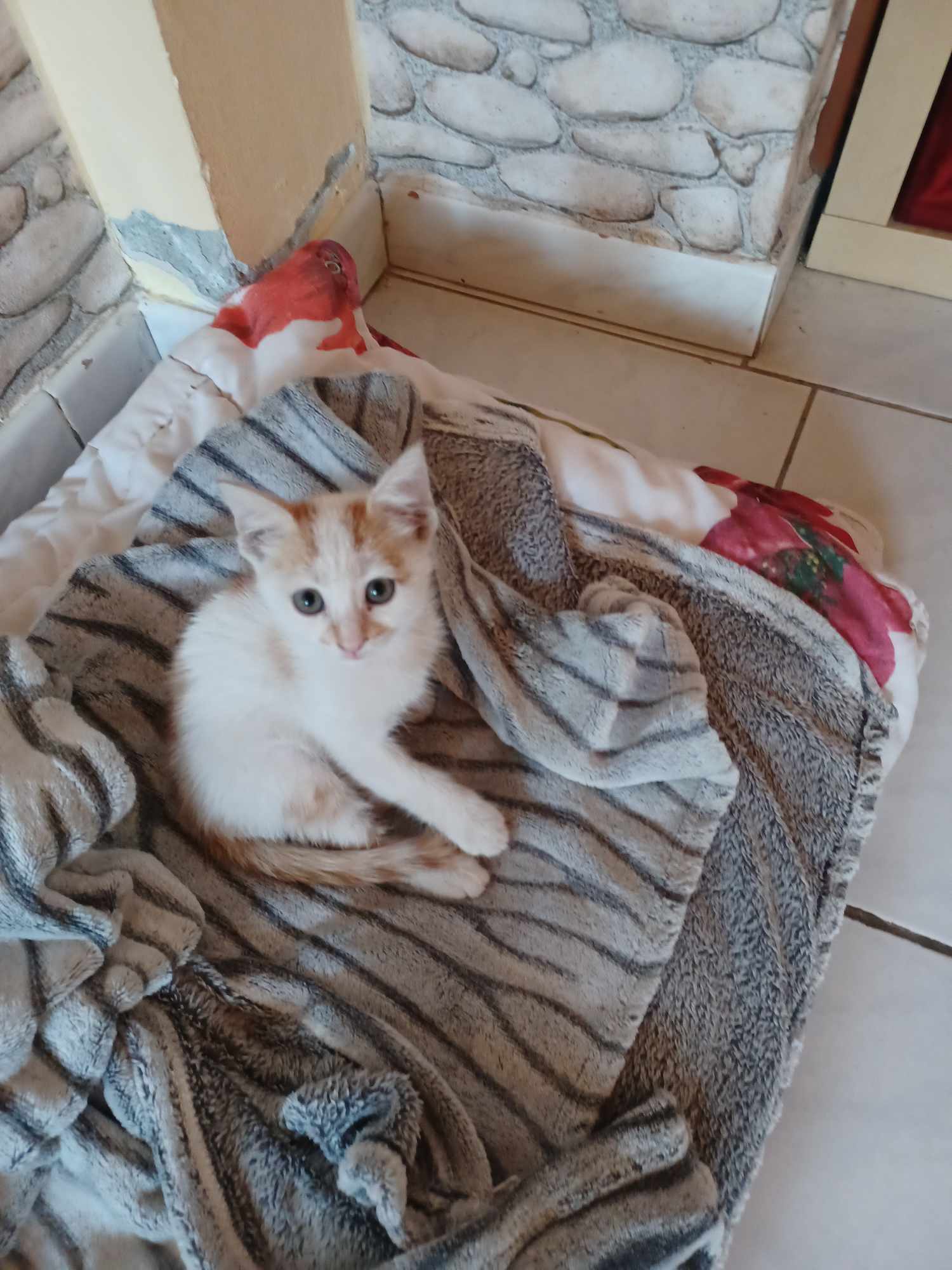 received_351699510607089