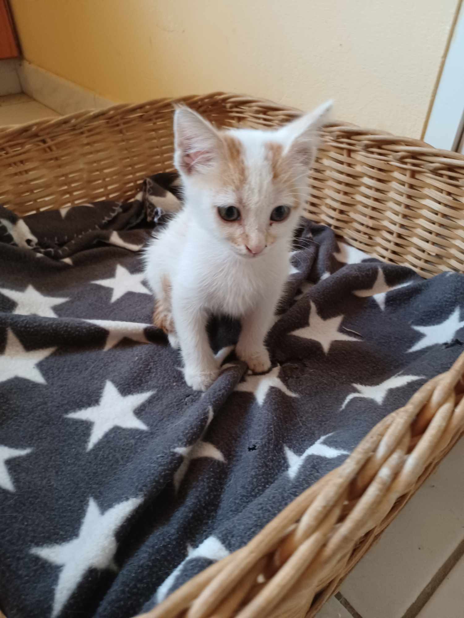 received_3585775678346929