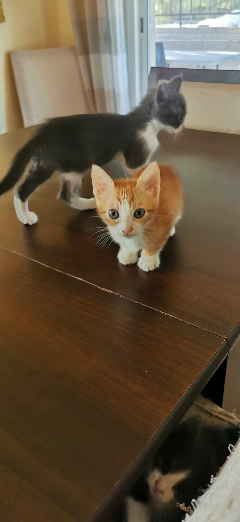 received_543862037938095