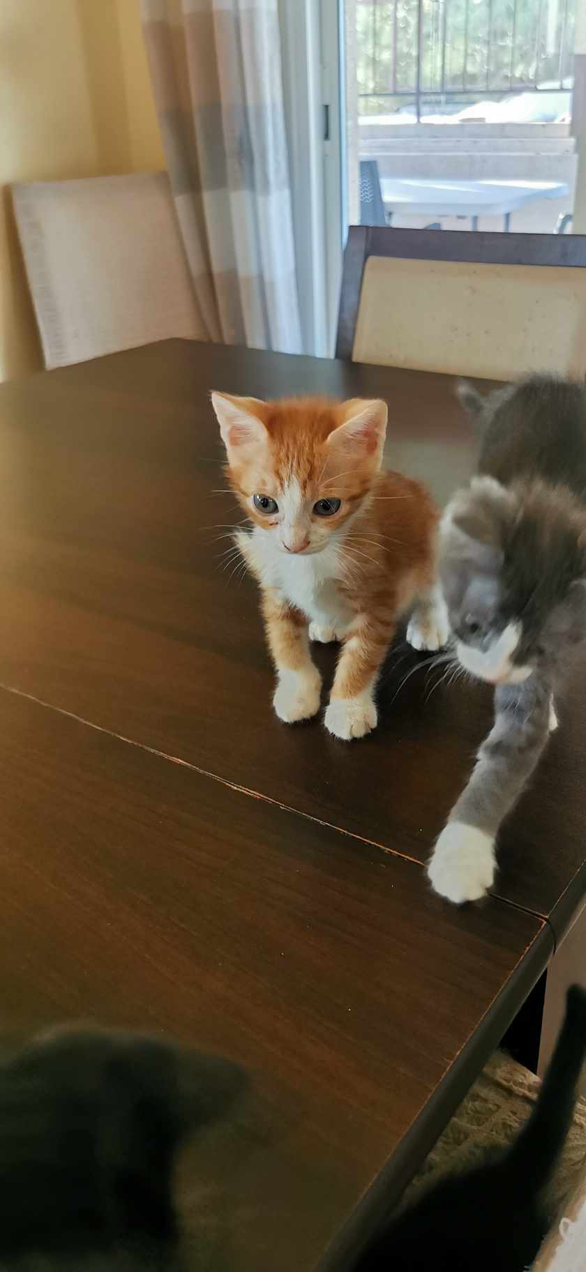 received_712907063711050