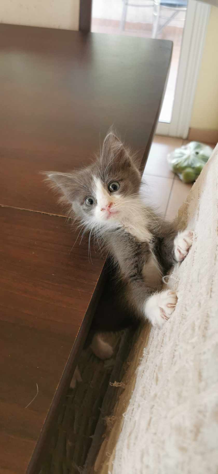 received_739799601315643