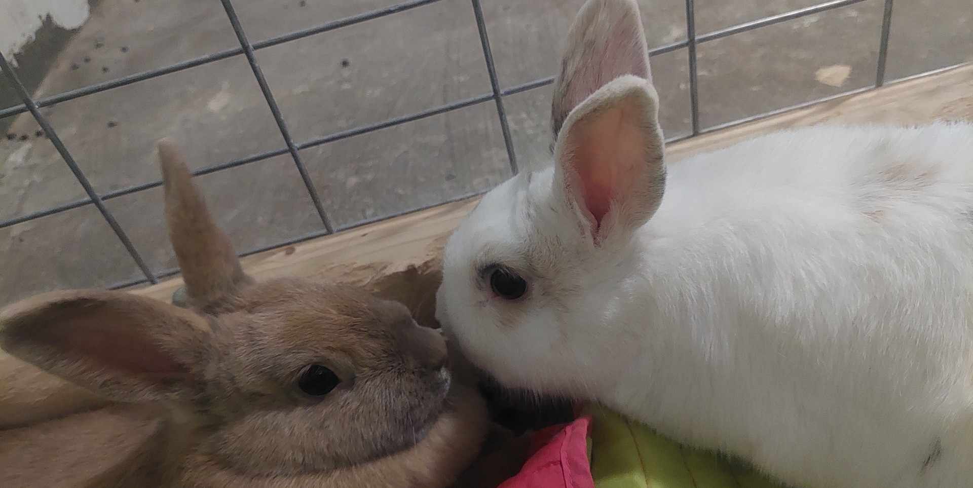 357356819_225032019996677_7433159456457959536_n