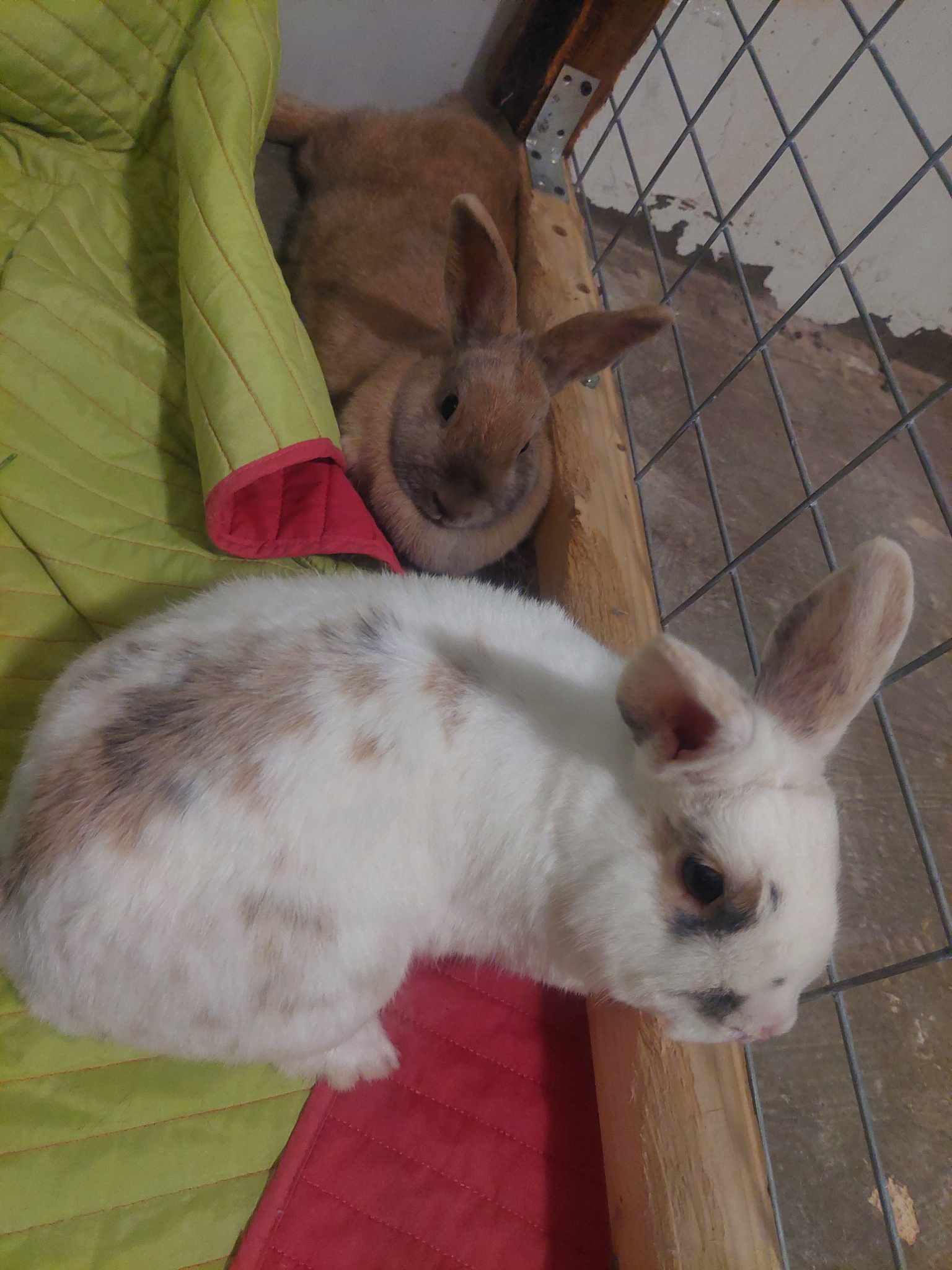 357617895_853798366174154_7870939427937843878_n