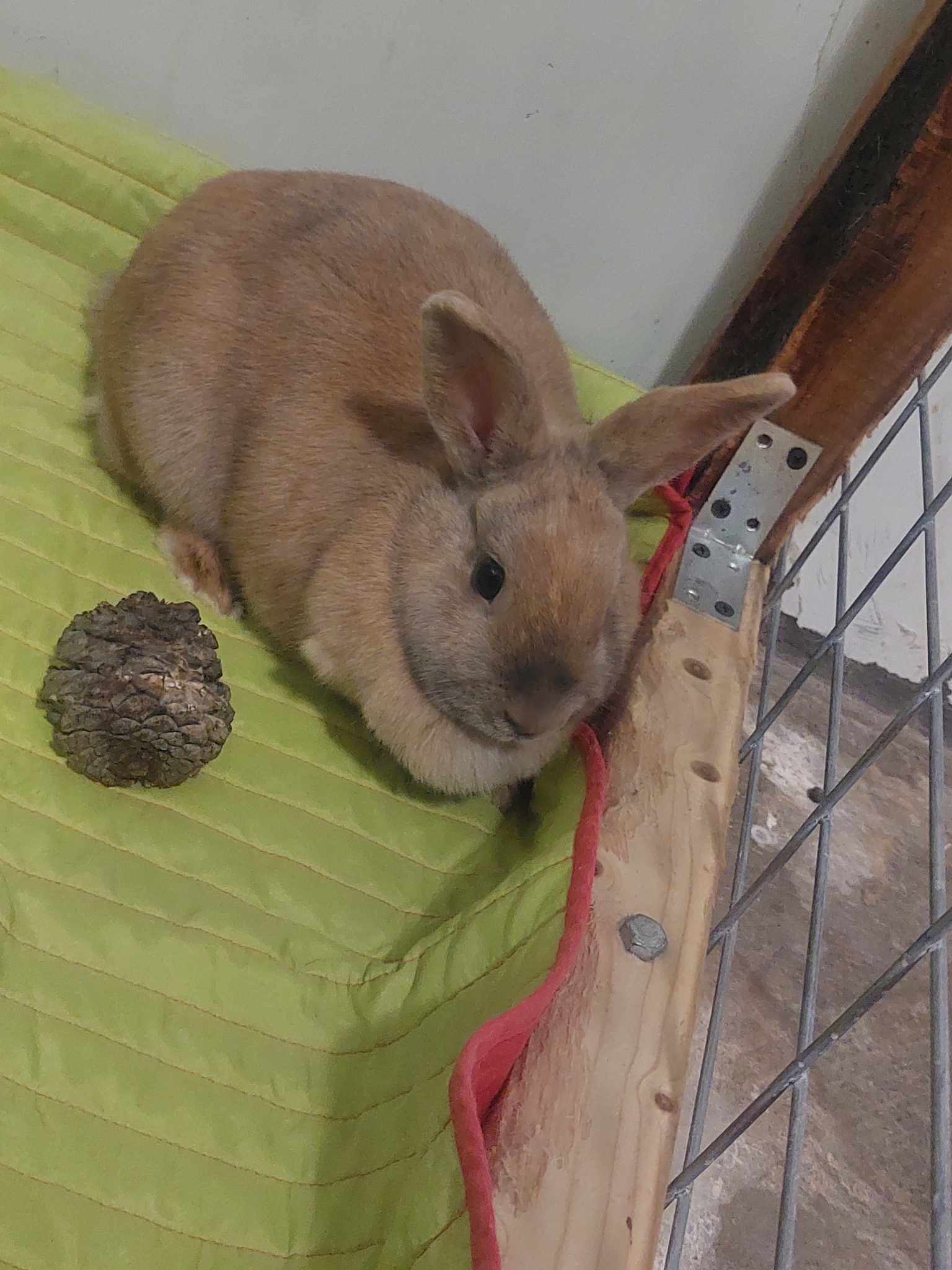 357657378_179830391526176_1708571854338370460_n