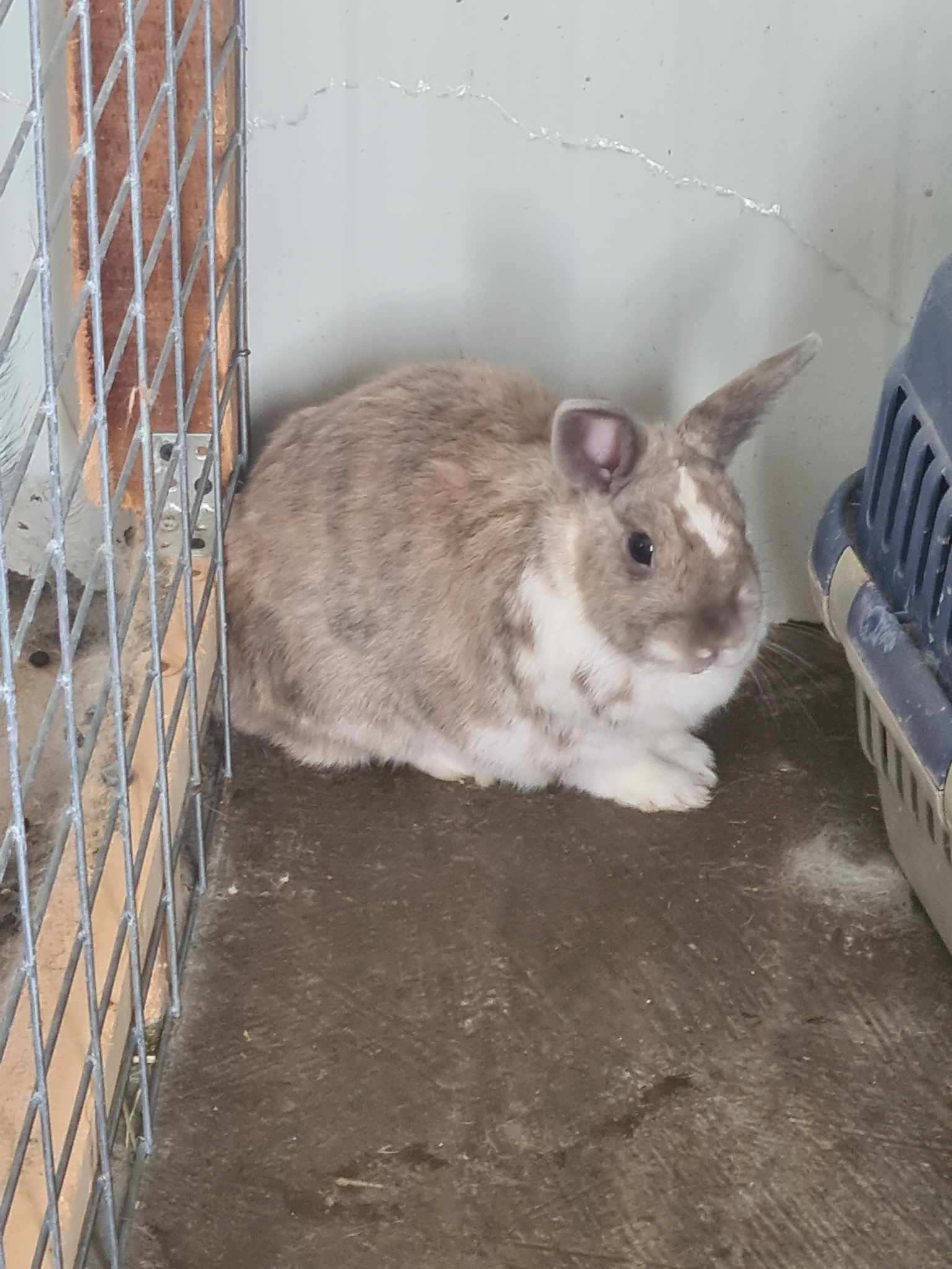 358517802_2126120437578440_6665018591812698910_n