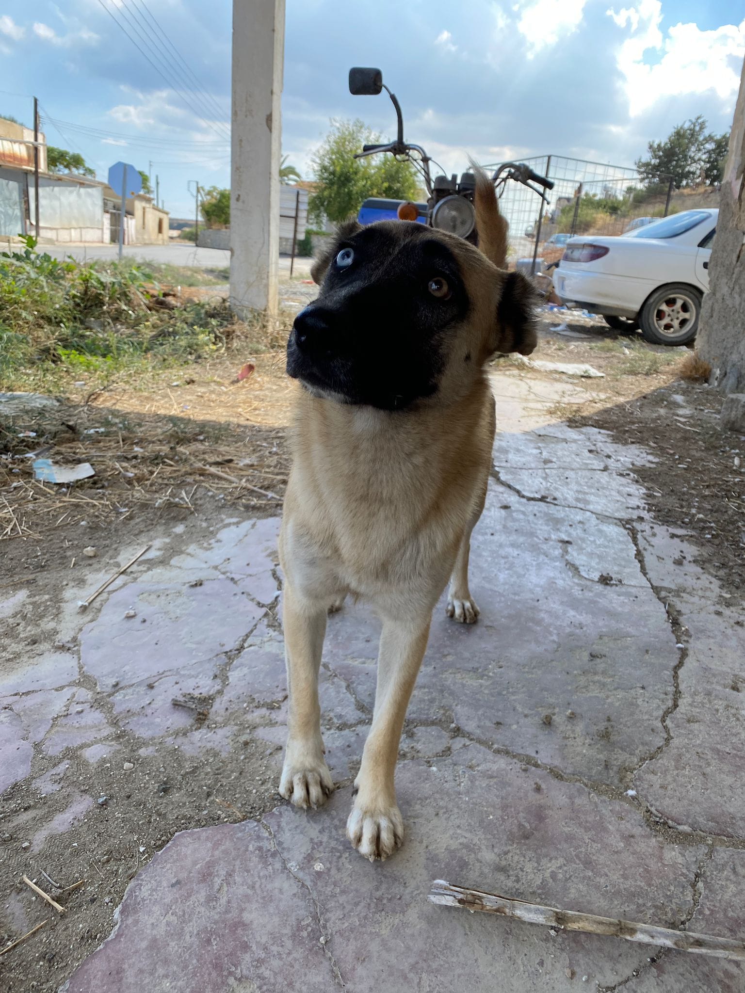 39878e5a-f40a-45fc-a87a-d72f9aeacaaf