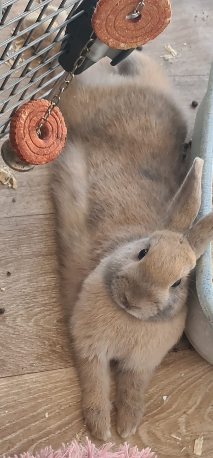 400235384_1294191757931940_4923365466644795039_n