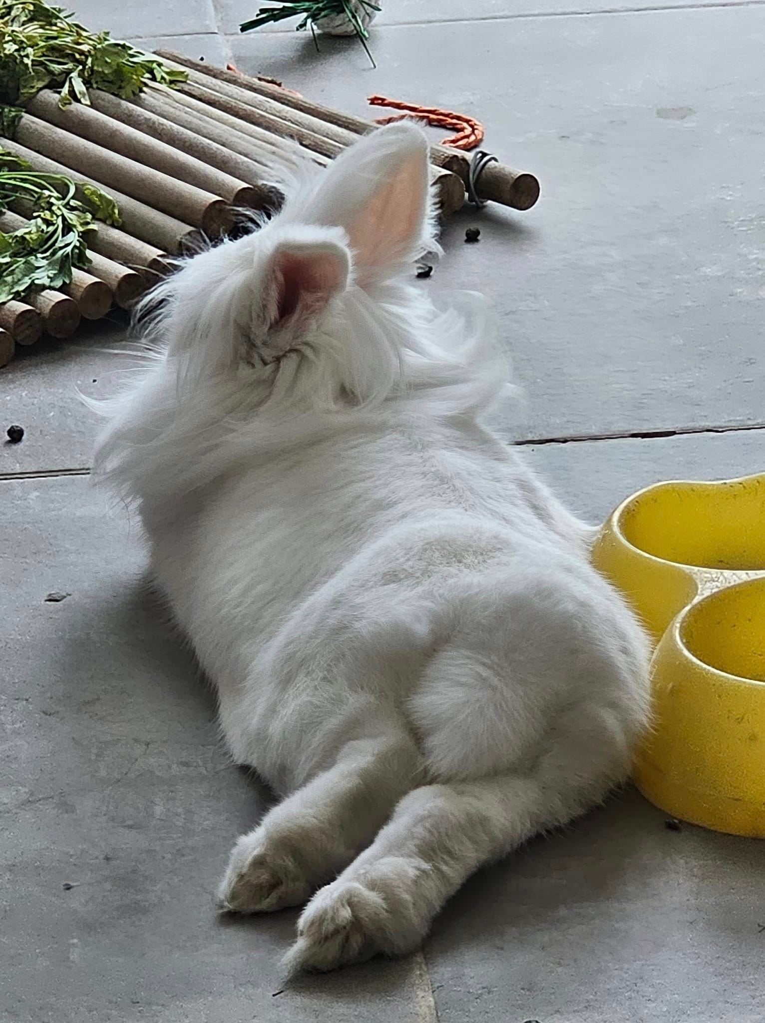 405242254_7286178281445173_526829037898385438_n