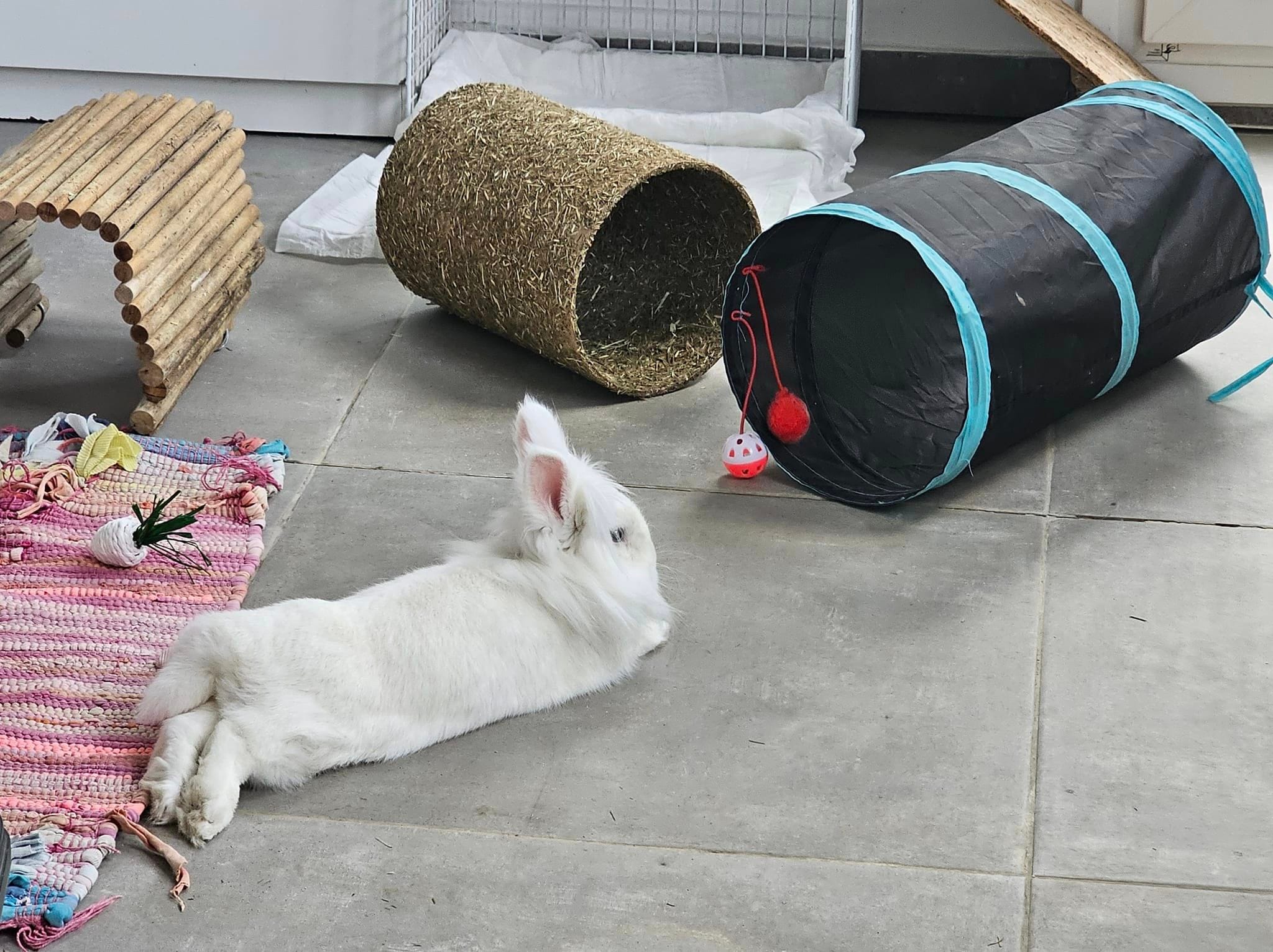 406625032_7286177801445221_7032591762681015274_n-1