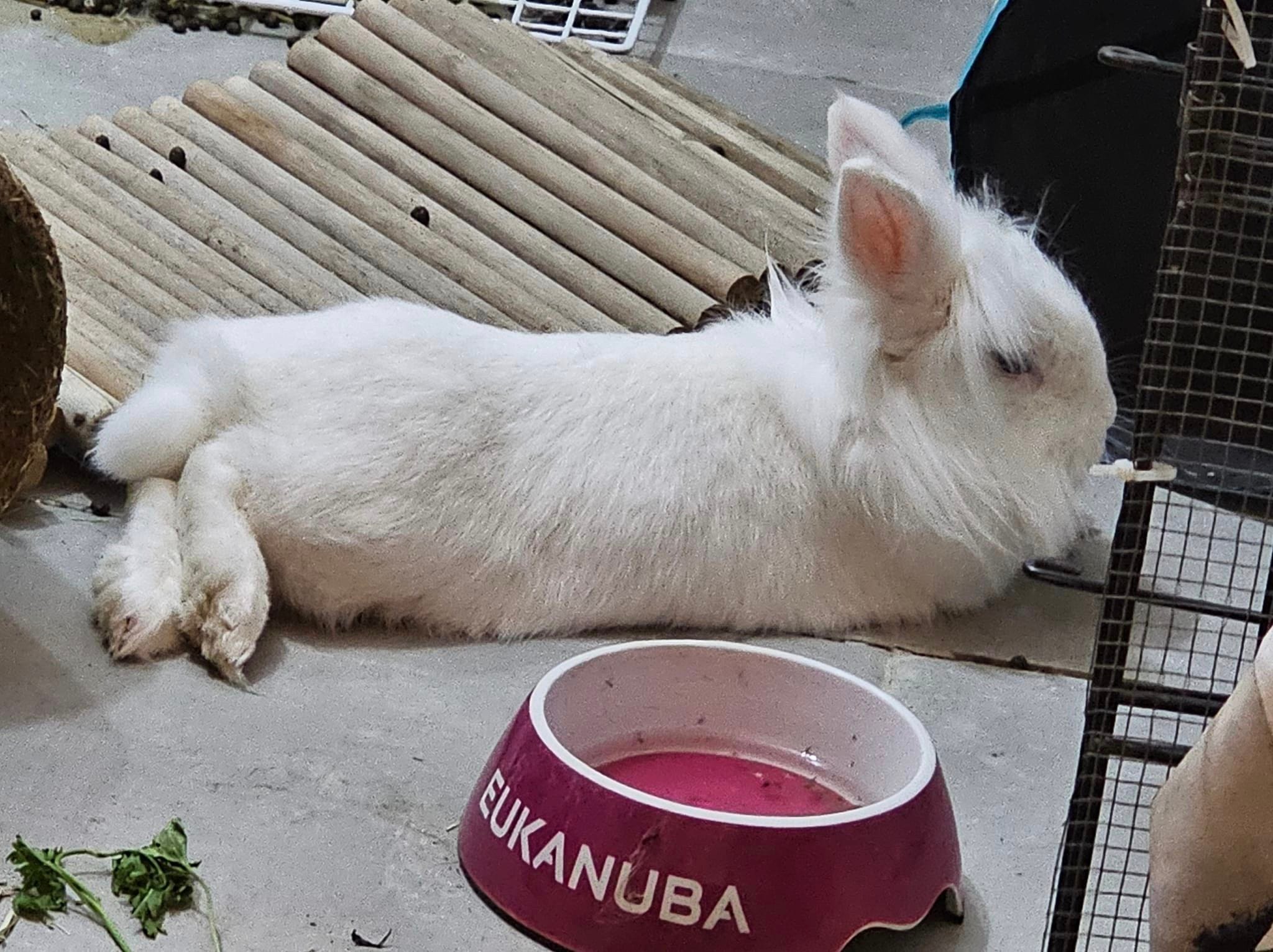 406627110_7286178091445192_7879506671204130993_n