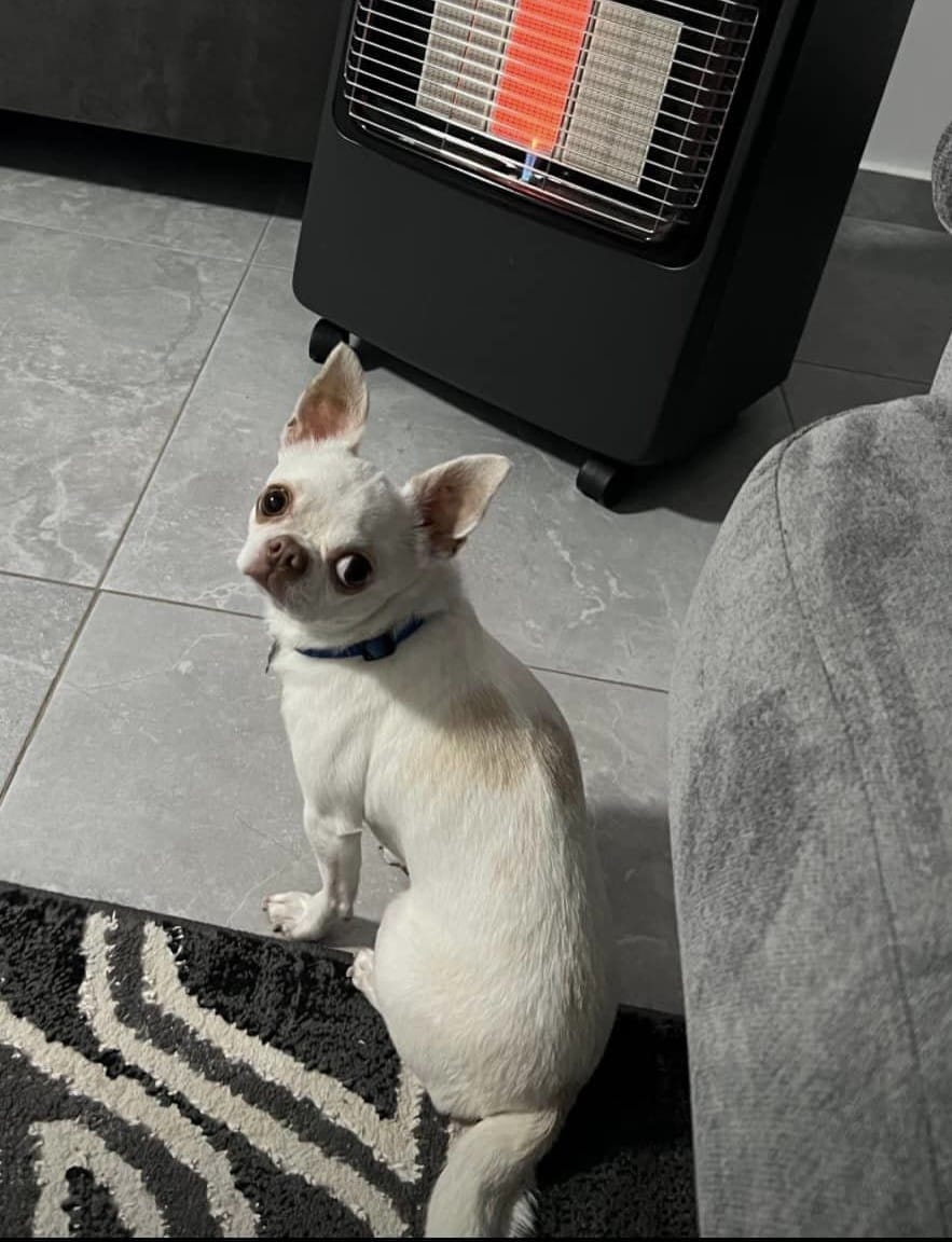 406865994_3680614702219003_7956298454787217370_n