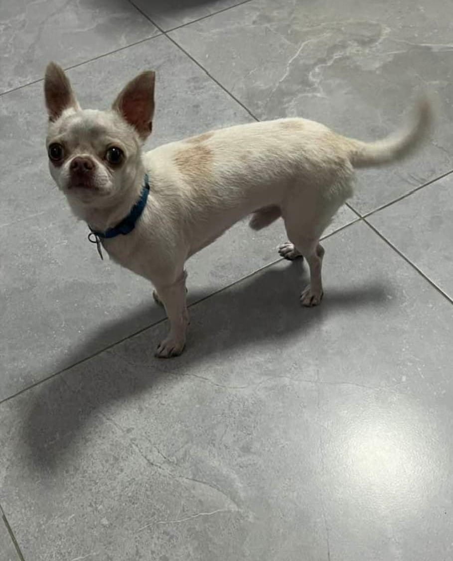 408027231_2015092652209251_2917142263219647186_n