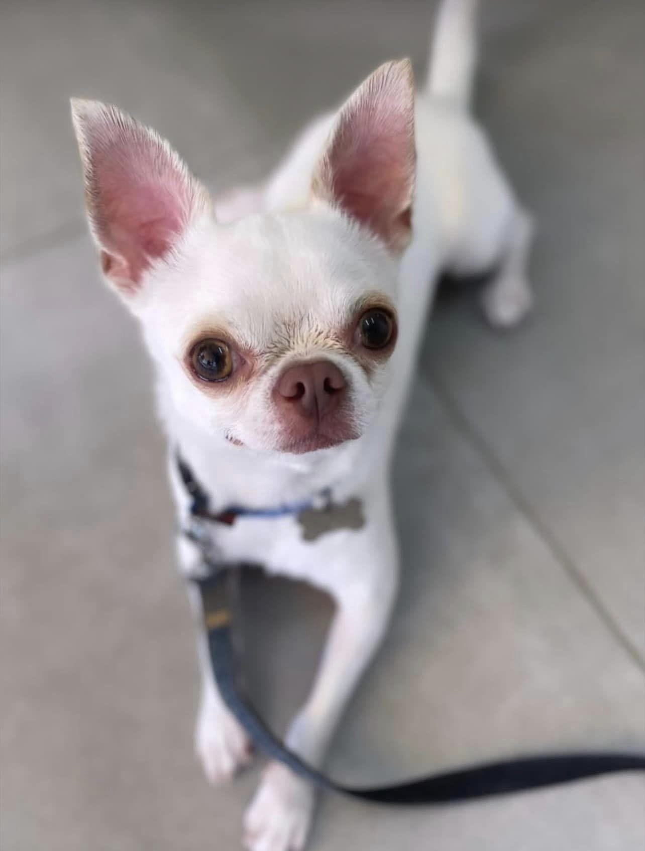 409179960_3680614695552337_324186376829018226_n