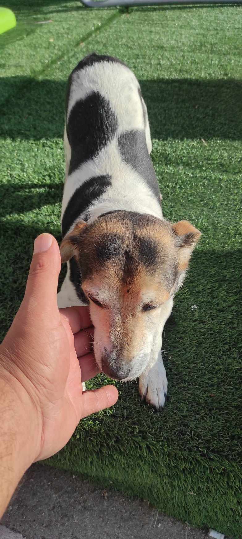 inbound2257974850589621131