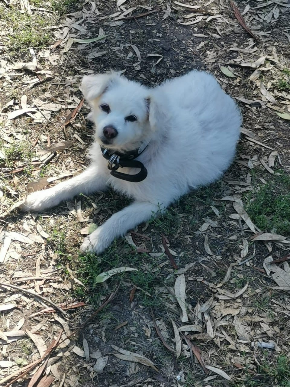 inbound4950205319375758563