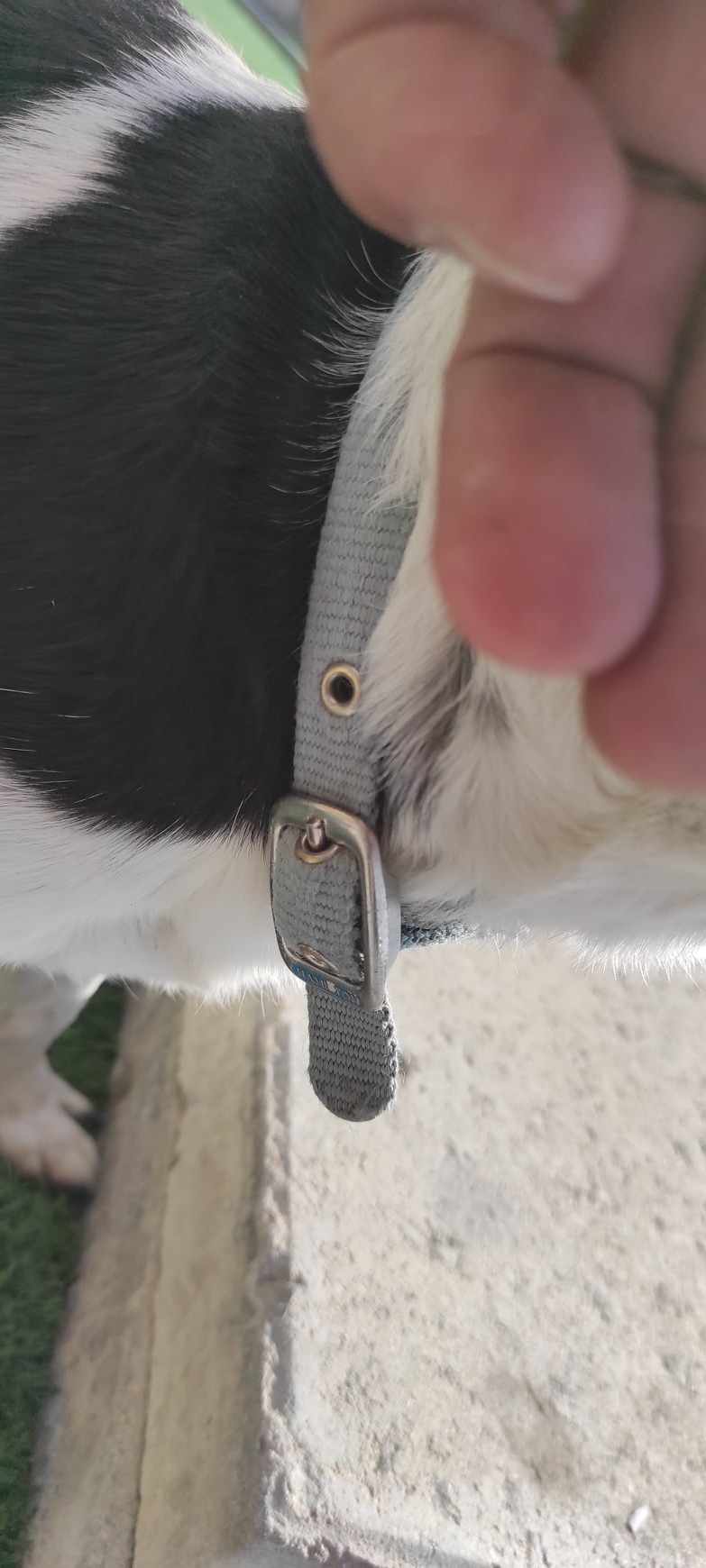 inbound5121691803341260119