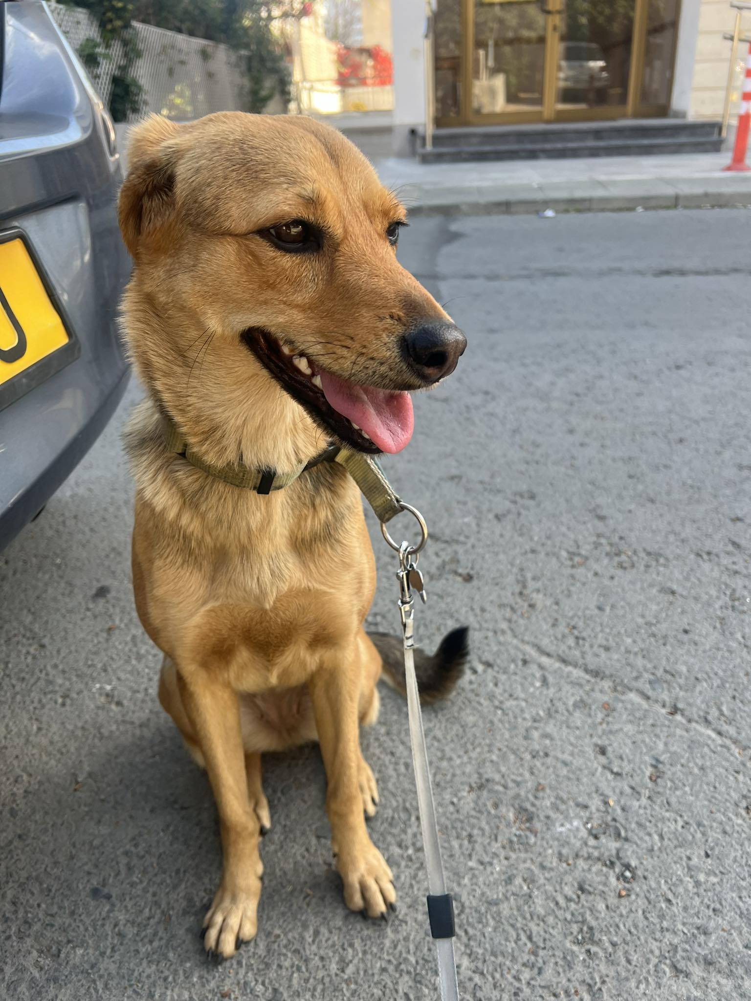 received_1046719286572677