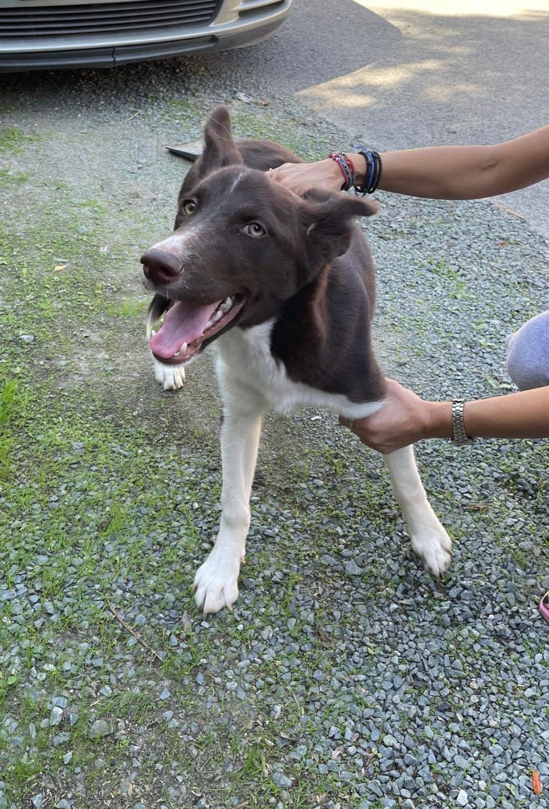 received_1548910935939011