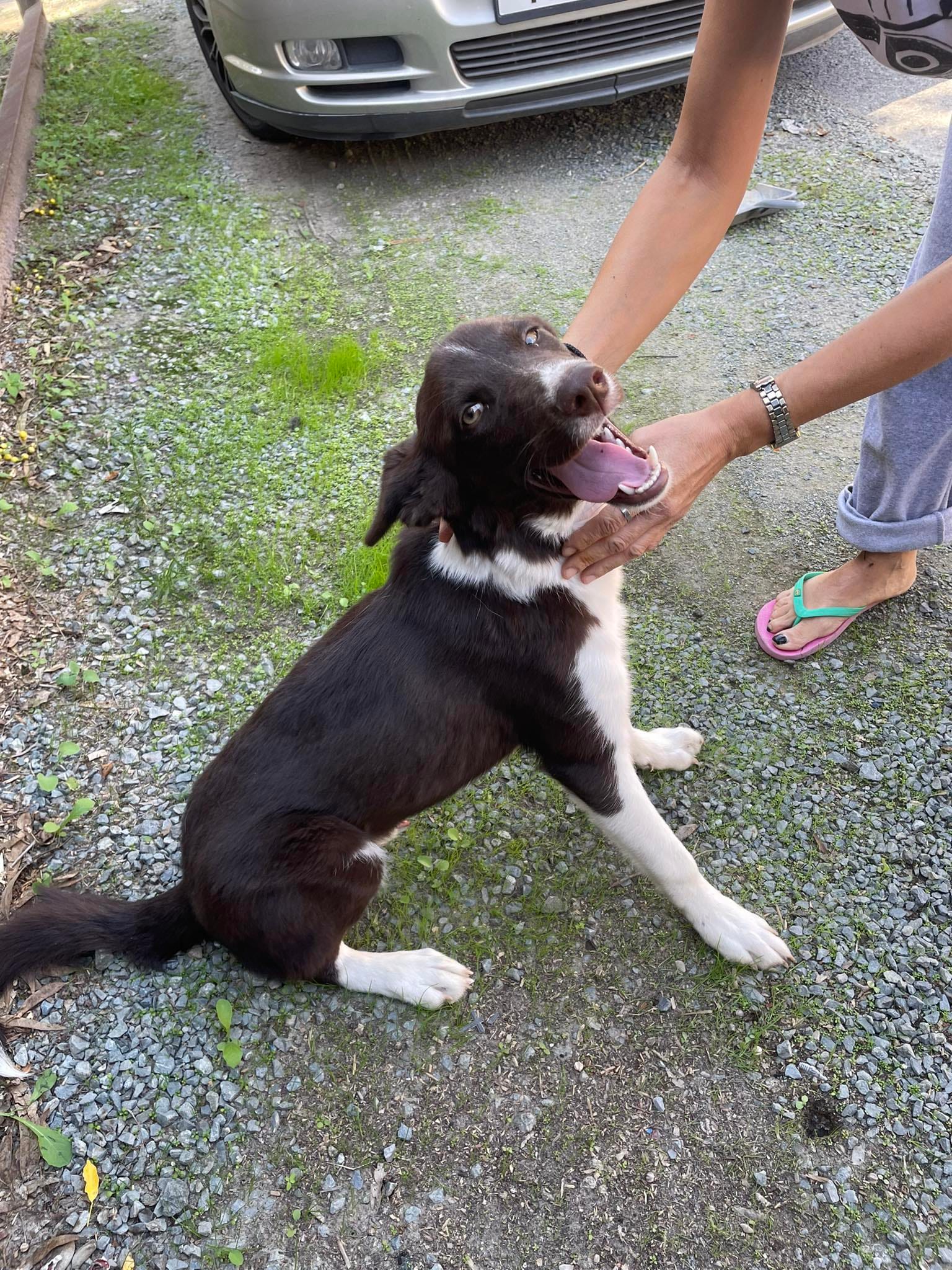 received_582167074007894