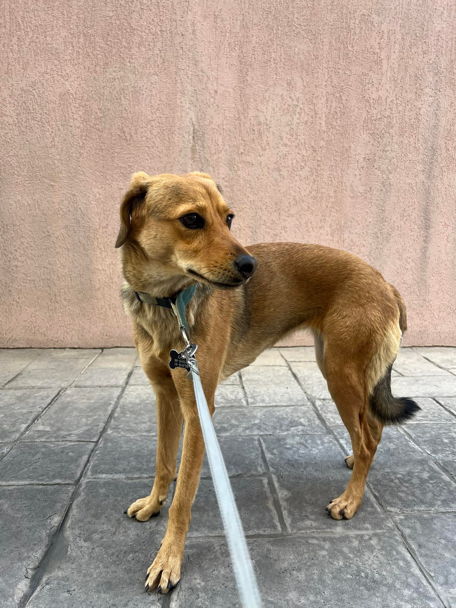 received_916756083351623