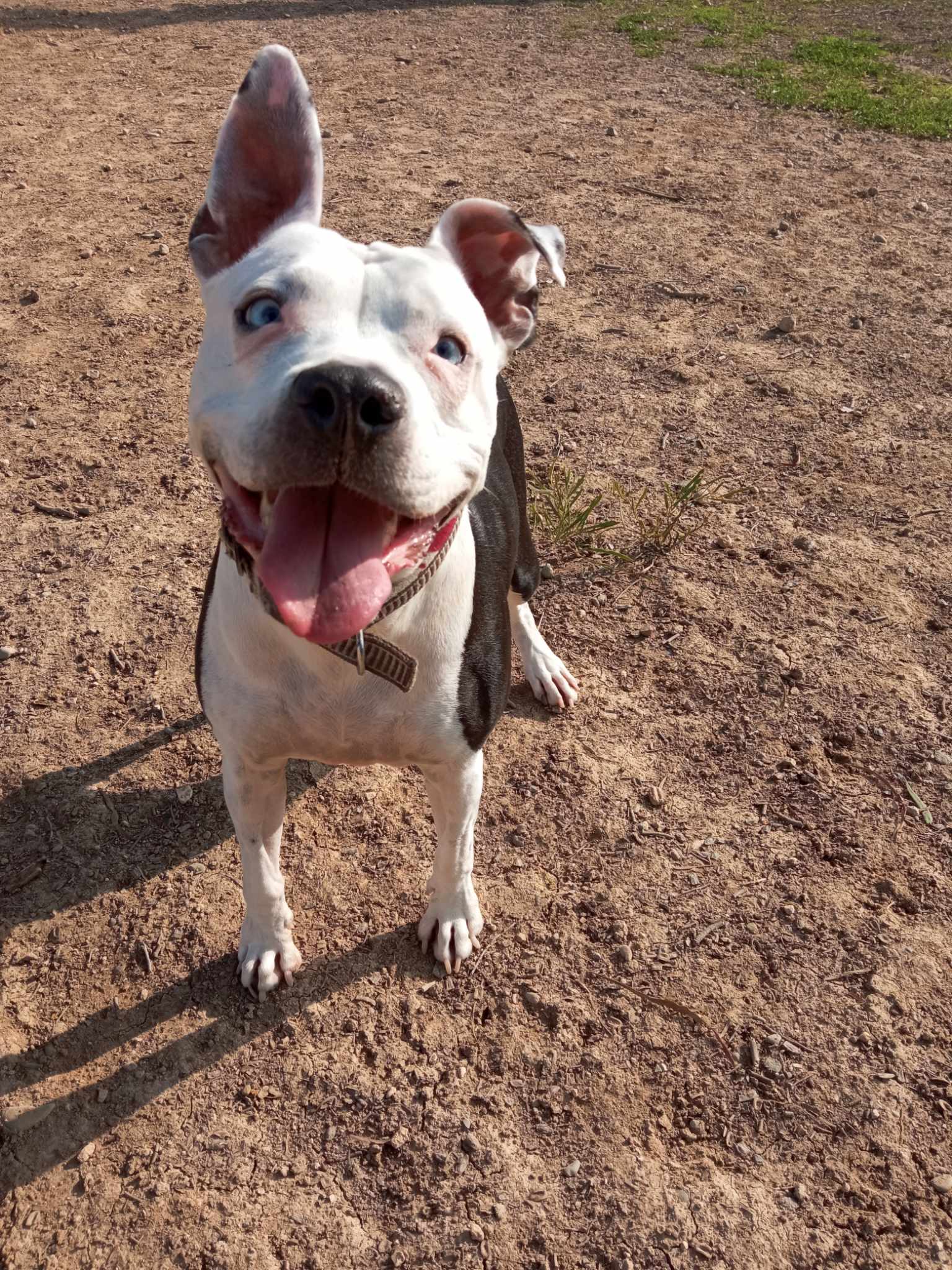 415979289_426684103015397_4080786519110867360_n