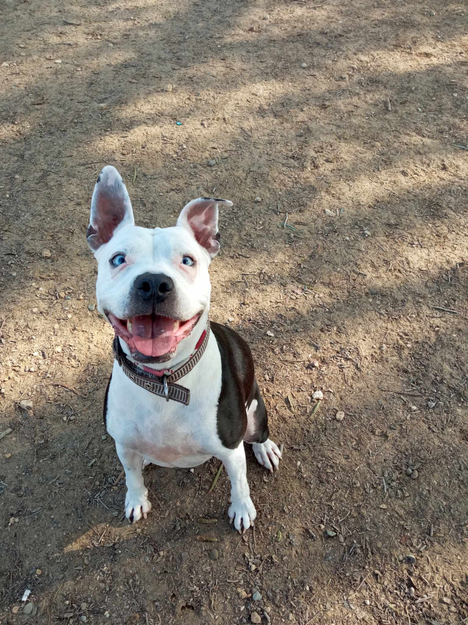 415993698_426684146348726_6110474122001671701_n