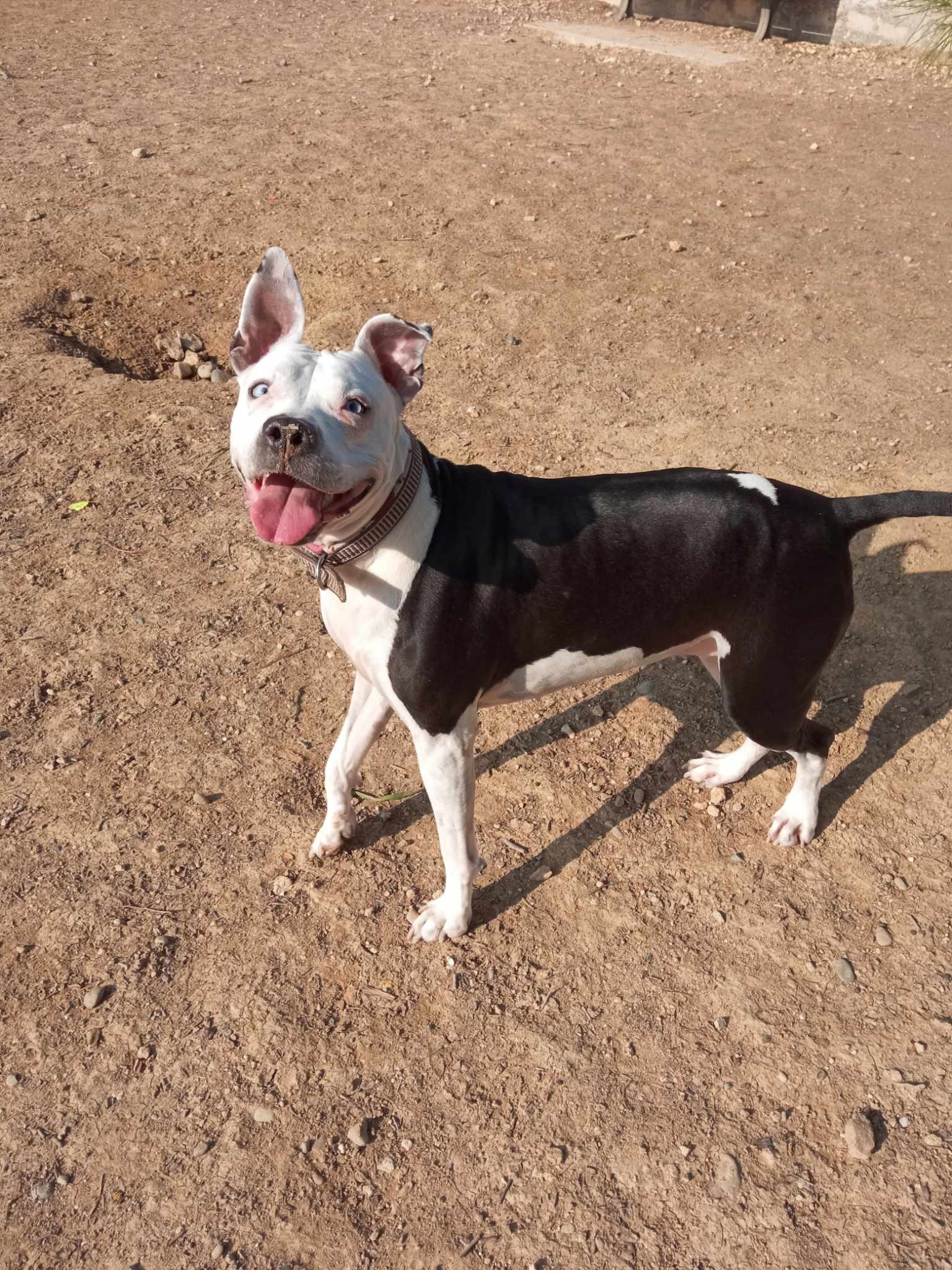 416023325_426684016348739_6860680939813922764_n