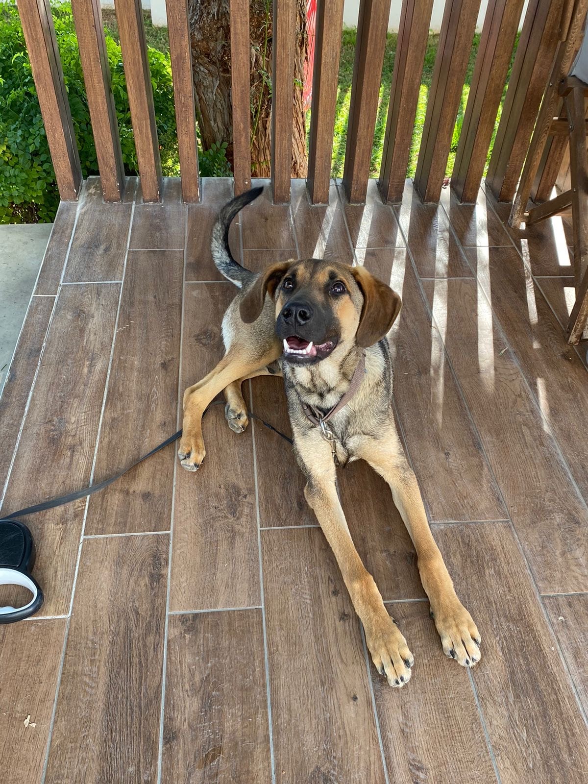 6dfb34c1-1f77-40ff-84bf-5d17d92ea3dd