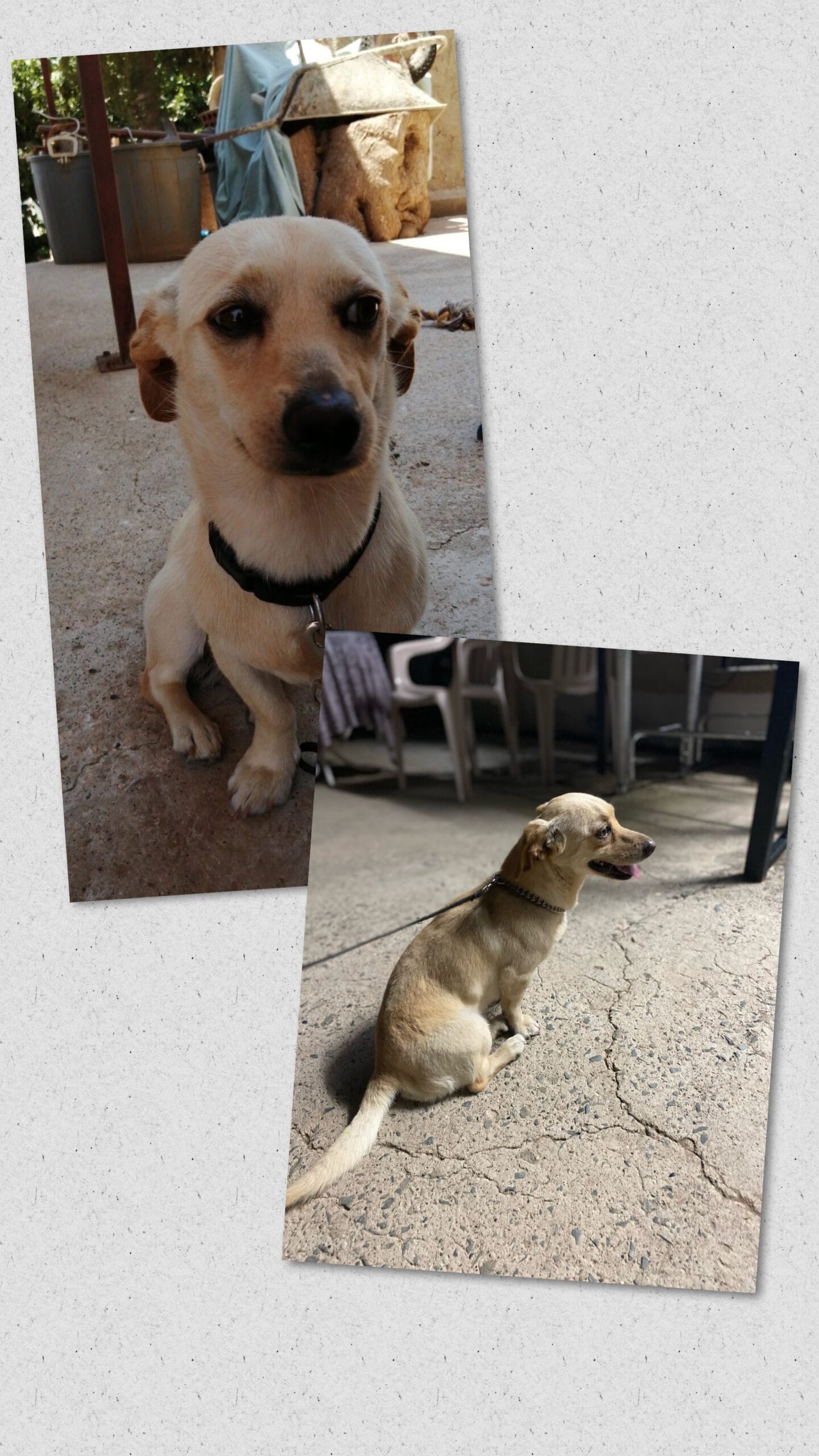 D733B350-28A5-49B2-8C28-052BEB939513