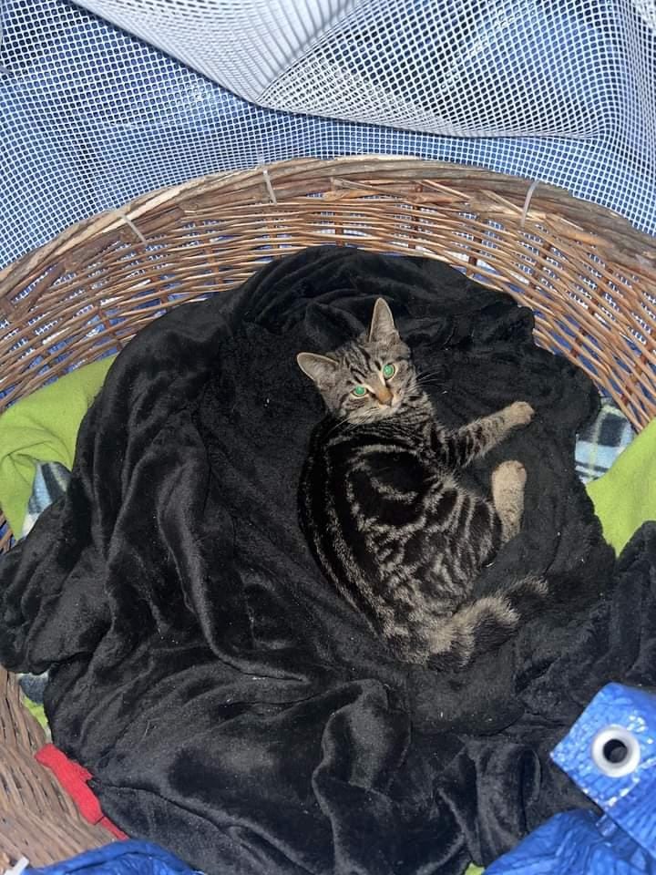 IMG_20231207_191640_522