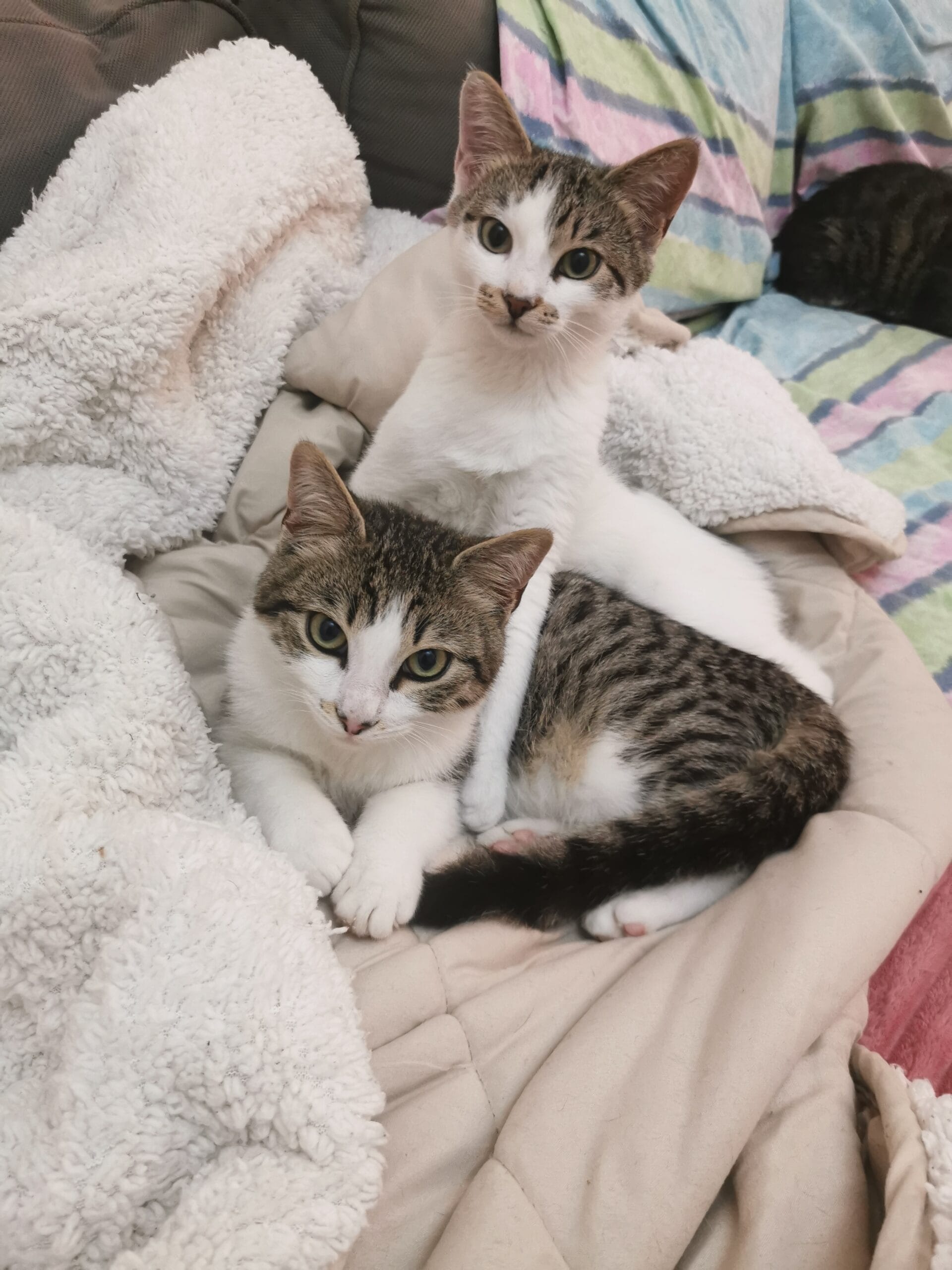 IMG_20240124_215723-1