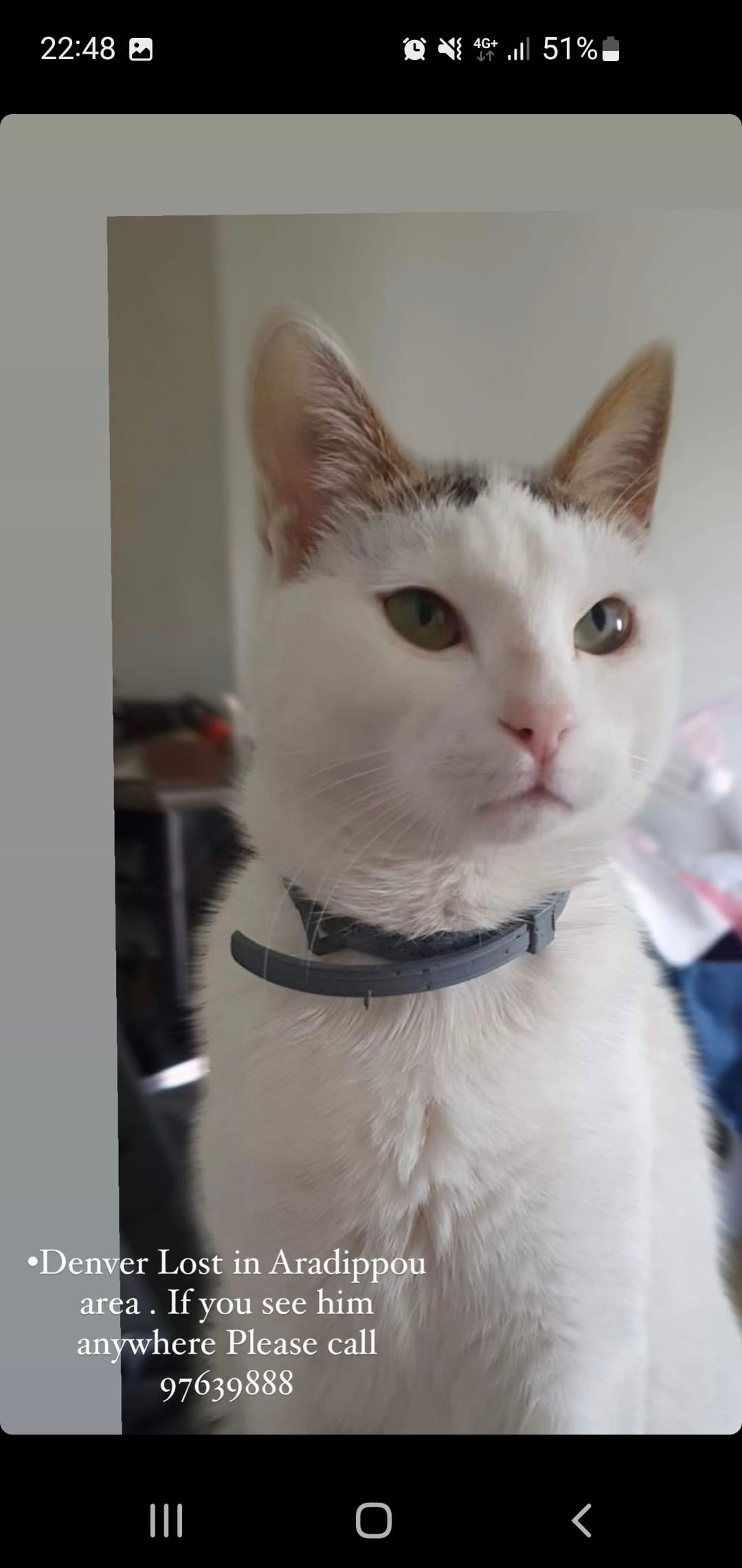 Screenshot_20240122_224857_Instagram