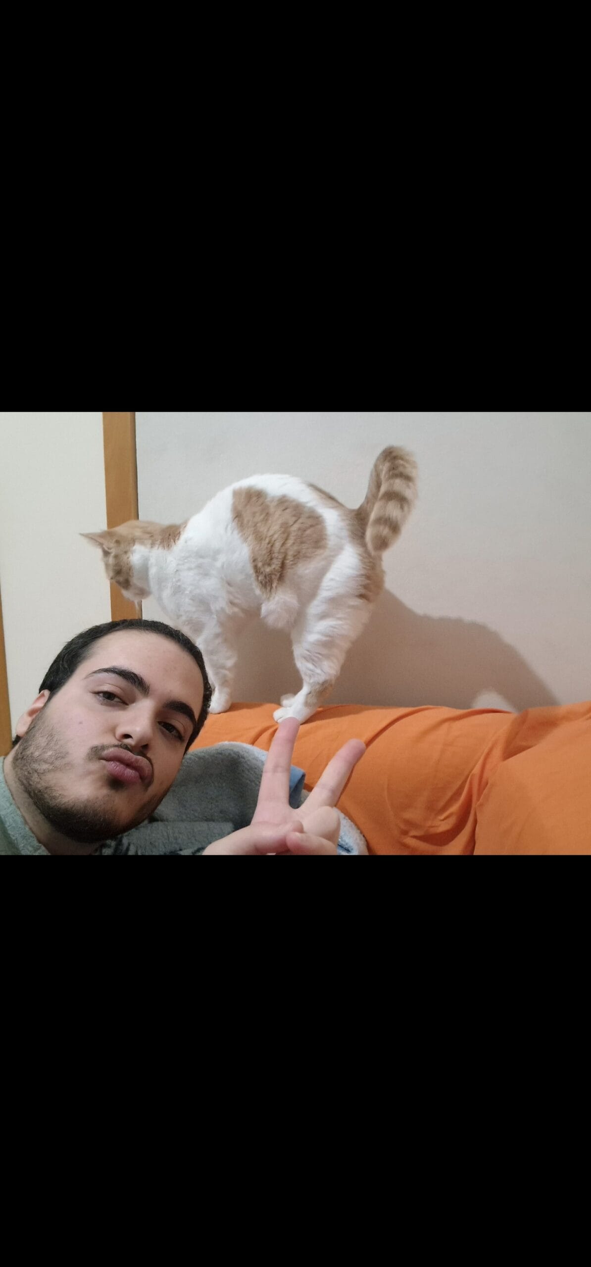 Screenshot_20240126_125000_Gallery