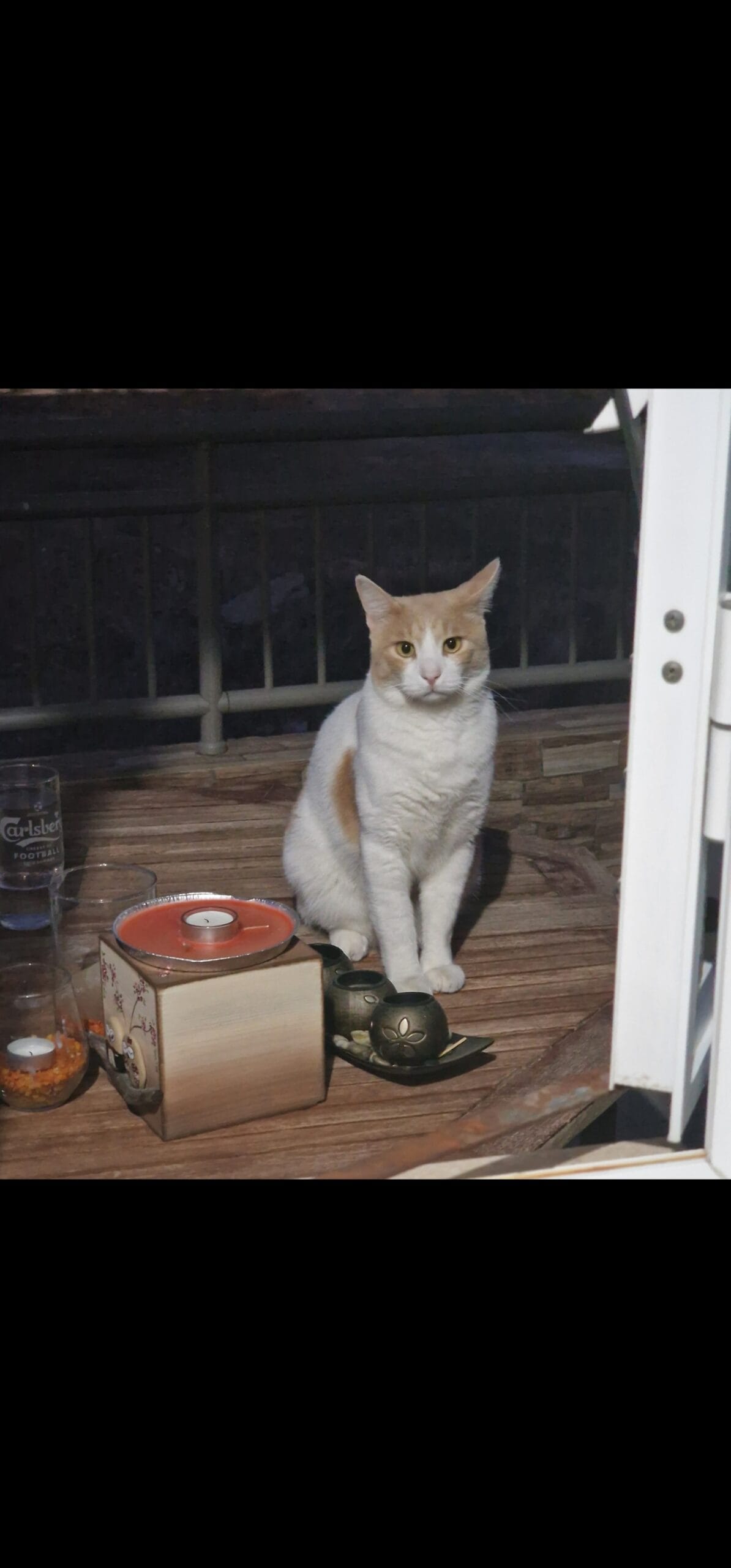 Screenshot_20240126_125102_Gallery