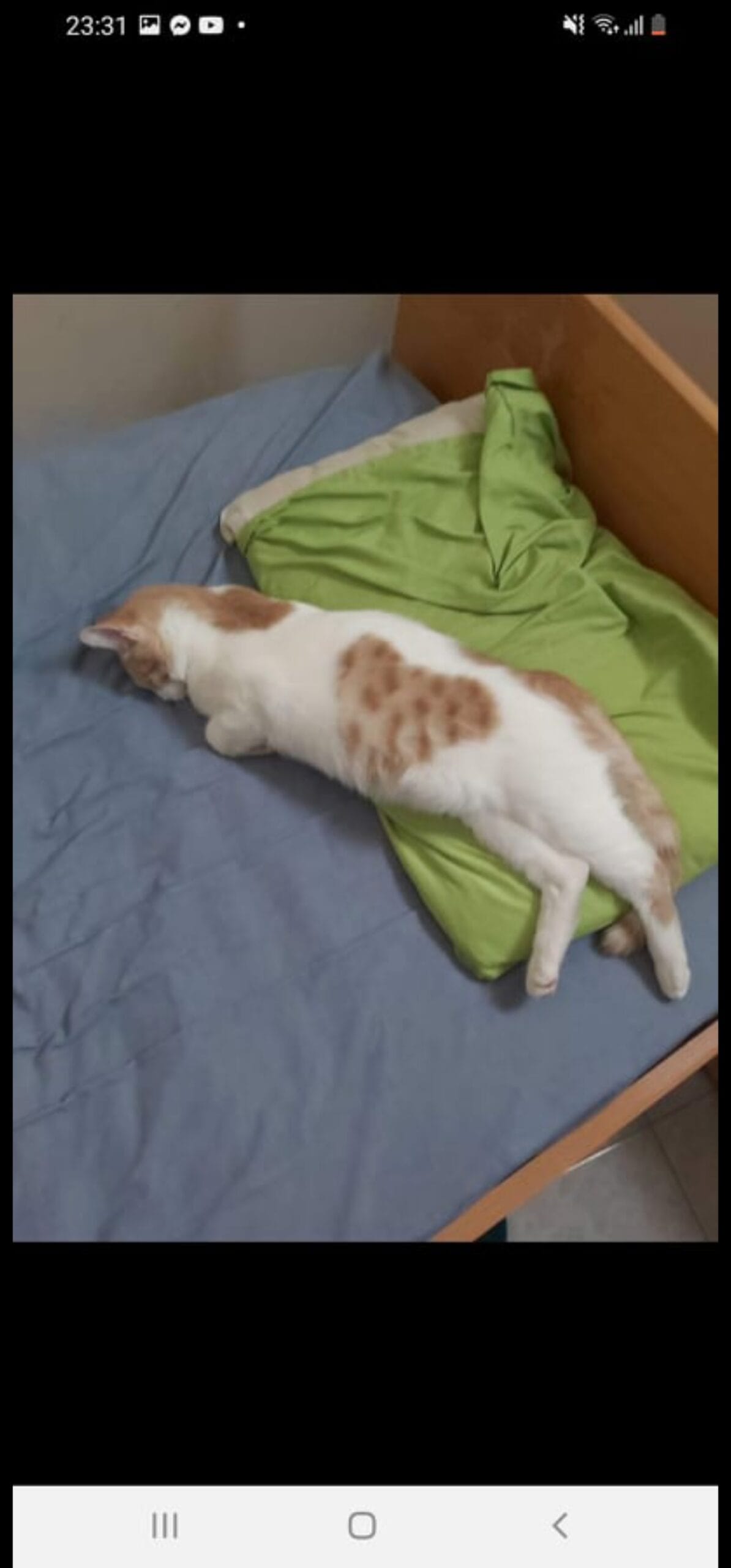 Screenshot_20240126_125120_Gallery