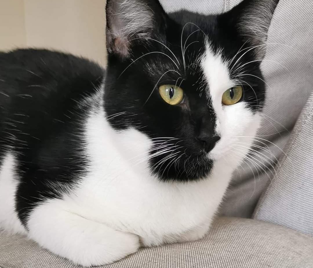 inbound9022401063042897044