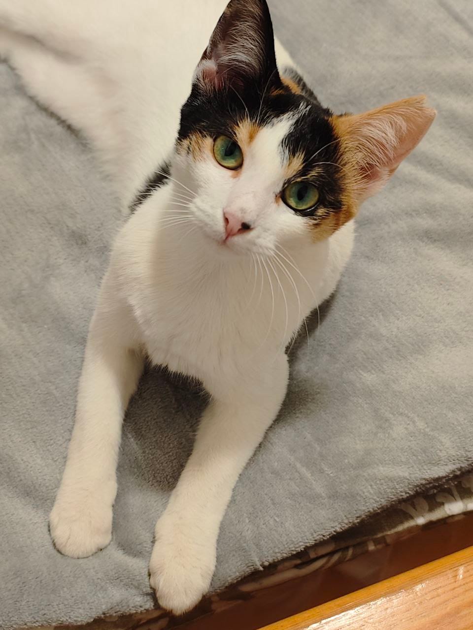 photo_2024-01-06_12-29-52