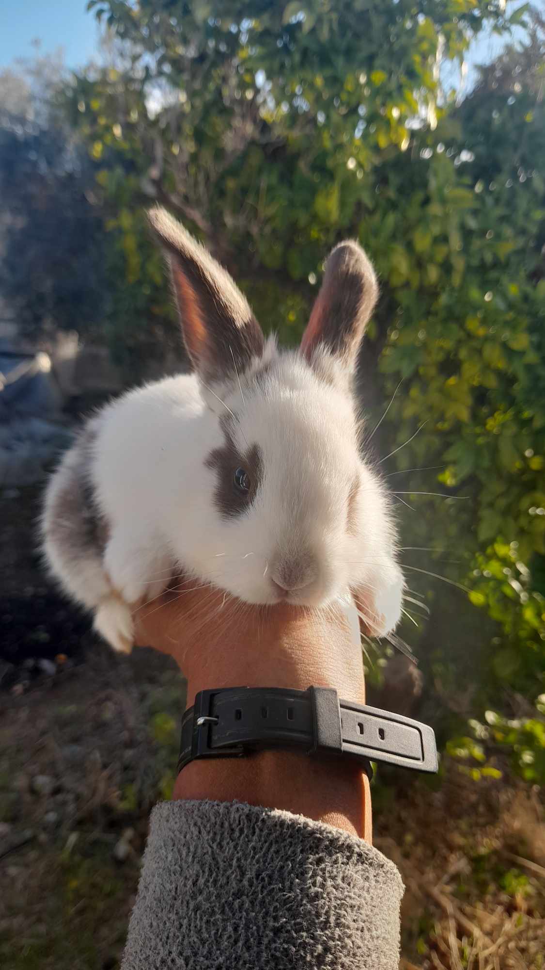 received_336712175833626