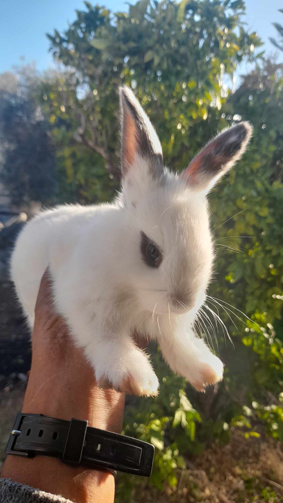 received_383799954112519