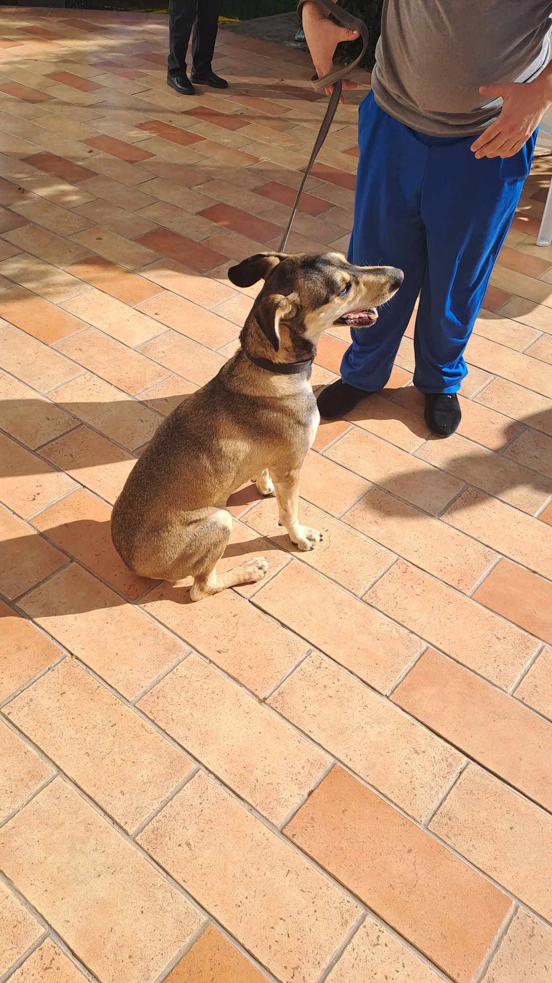 received_389889043407424