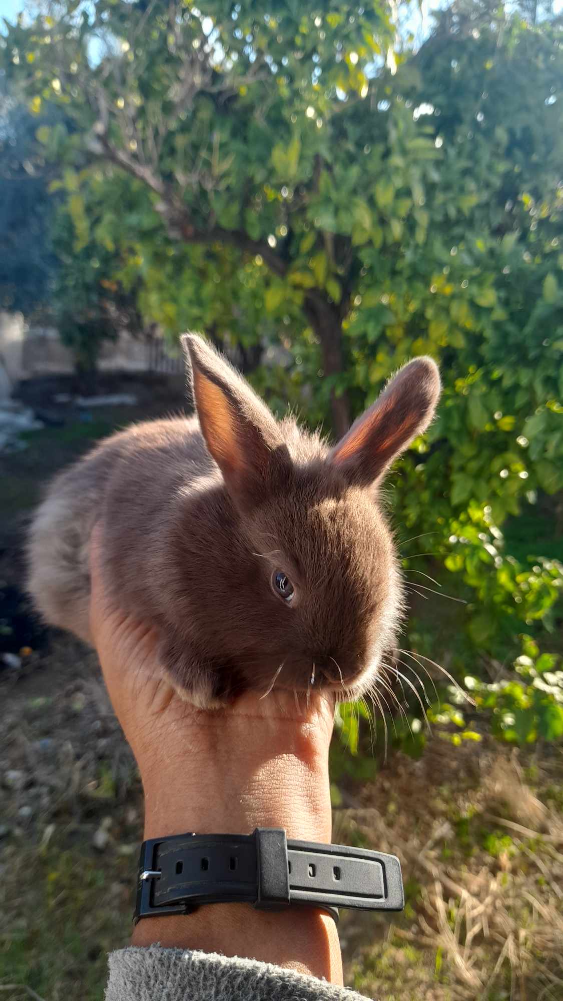 received_393159906521299