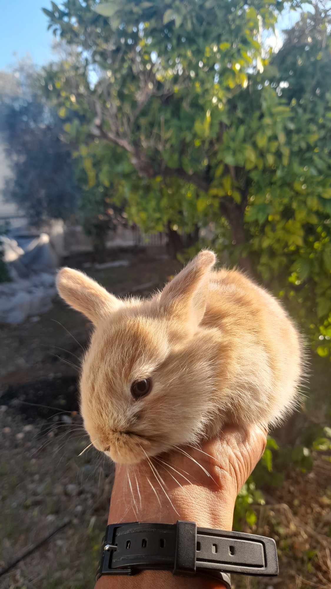 received_762281385924673