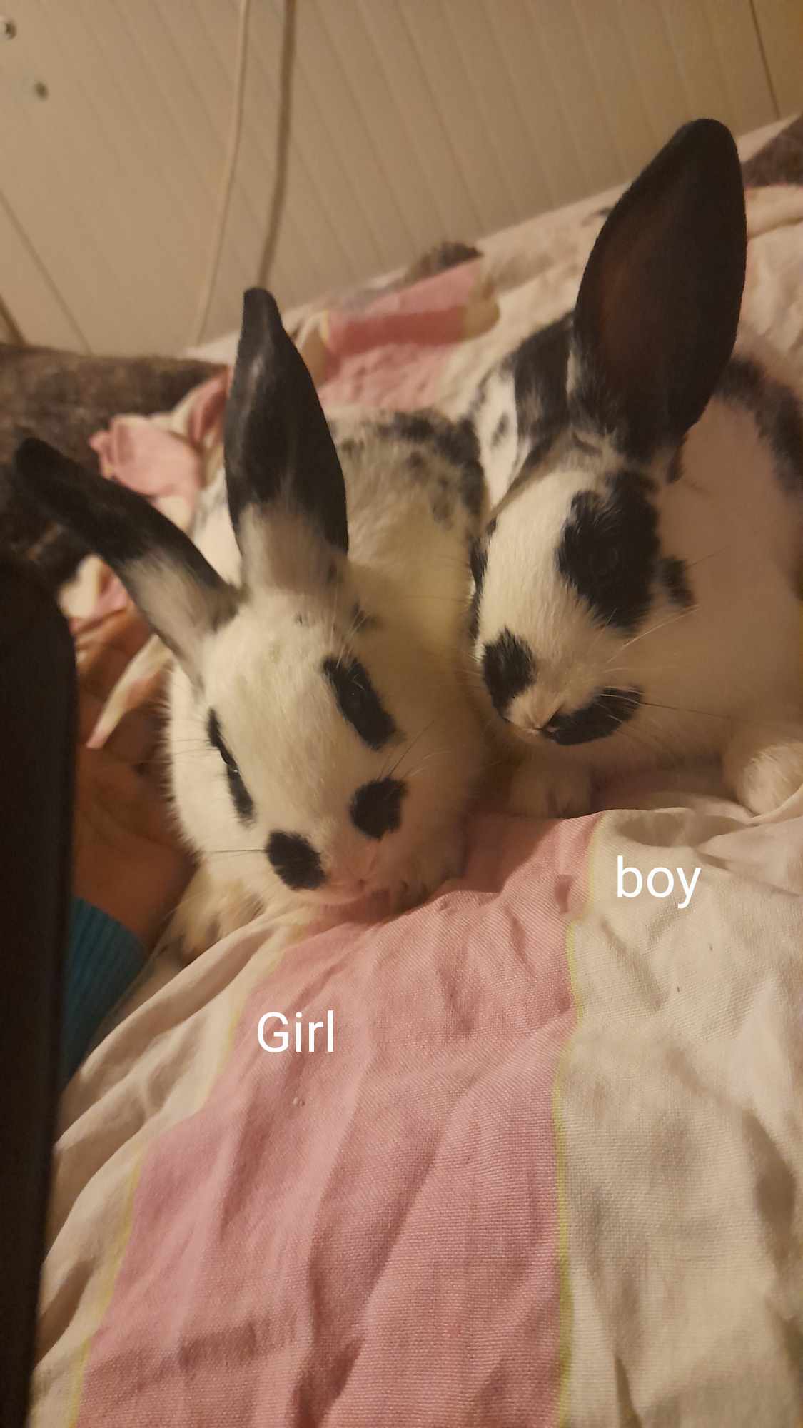 received_909774597159711