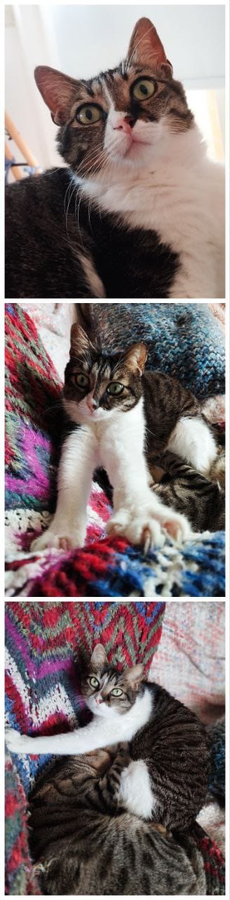 photo_2024-02-24_17-13-11